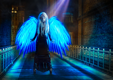Blue Angel